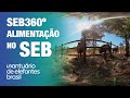 SEB360º: Alimentação no SEB