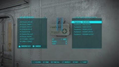 Fallout 4 Mod Review: Cheat room
