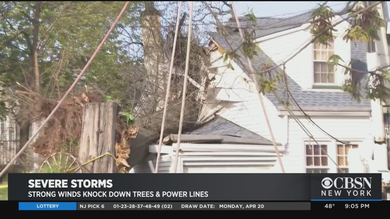 Severe Storms, Strong Winds Bring Down Trees And Power Lines In New ...