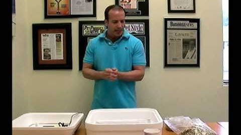 Hovabator Incubator: How to Incubate Reptile Eggs