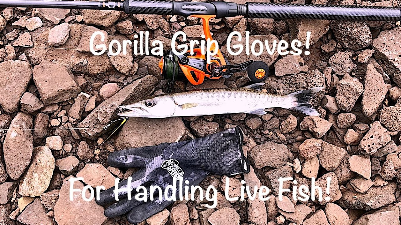 Gorilla Grip Gloves For Handling Live Fish! 
