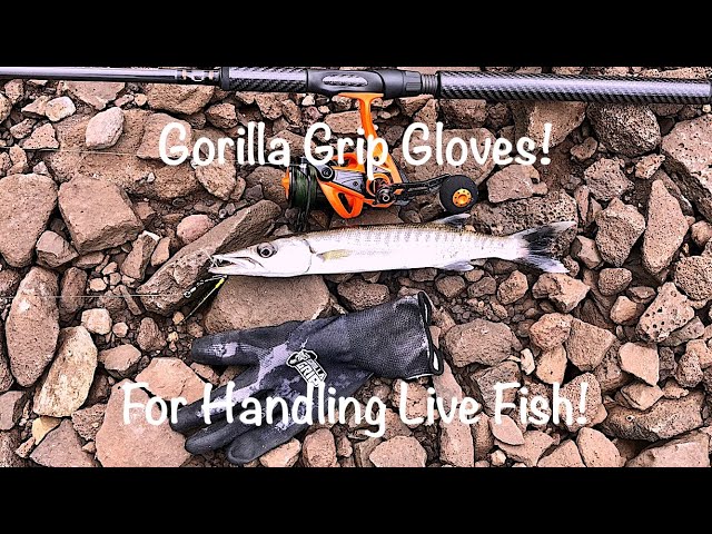 Gorilla Grip Gloves For Handling Live Fish! 