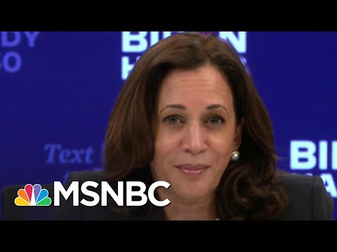 Kamala Harris Blasts Trump For Rejecting Climate Change Science | The 11th Hour | MSNBC