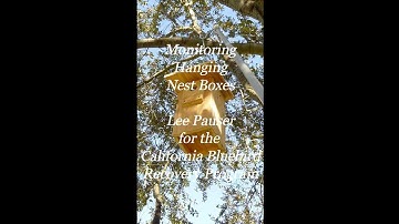 Monitoring Hanging Nest Boxes