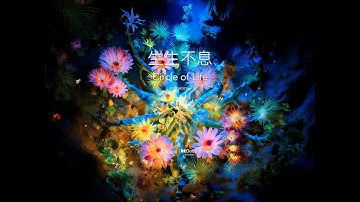 4K HDR Digital Art ｜ Circle of Life｜ 4K Dolby Vision™