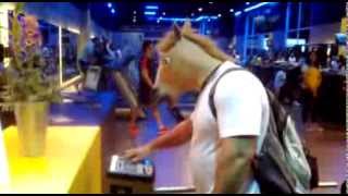cavalo indo pra academia \