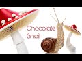 Chocolate snail