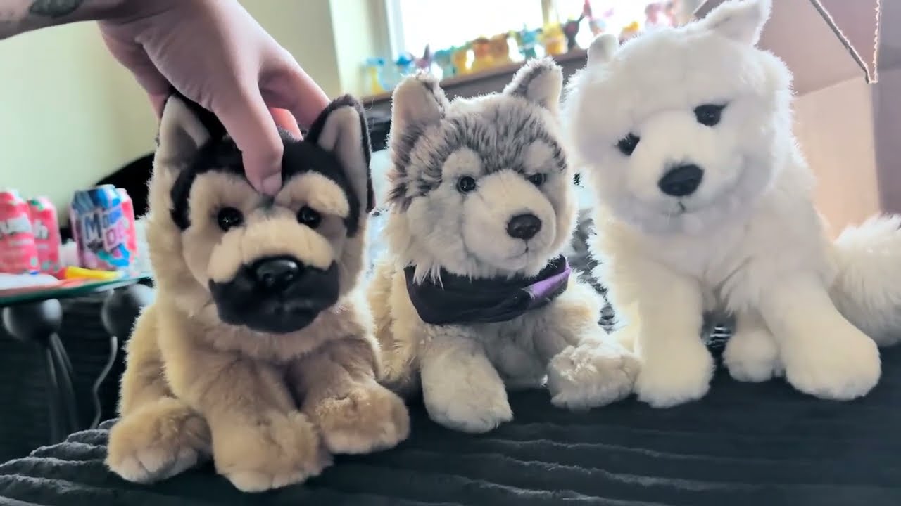 Webkinz Signature Packages ♡ Rainbow Kinz