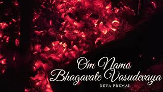 Великая Освобождающая Мантра Om Namo Bhagavate Vasudevaya - Deva Premal