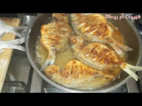 شهيوات أم ريحانة سمك سمك الشرغو مقلي وجبة خفيفة للغذاء