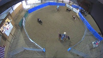 Big Sky Ranch Sorting Saddle Series #4 - #7 SORT - Round #1 - Ride #31