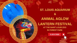St. Louis Aquarium & Animals Aglow Lantern Festival at St. Louis Zoo