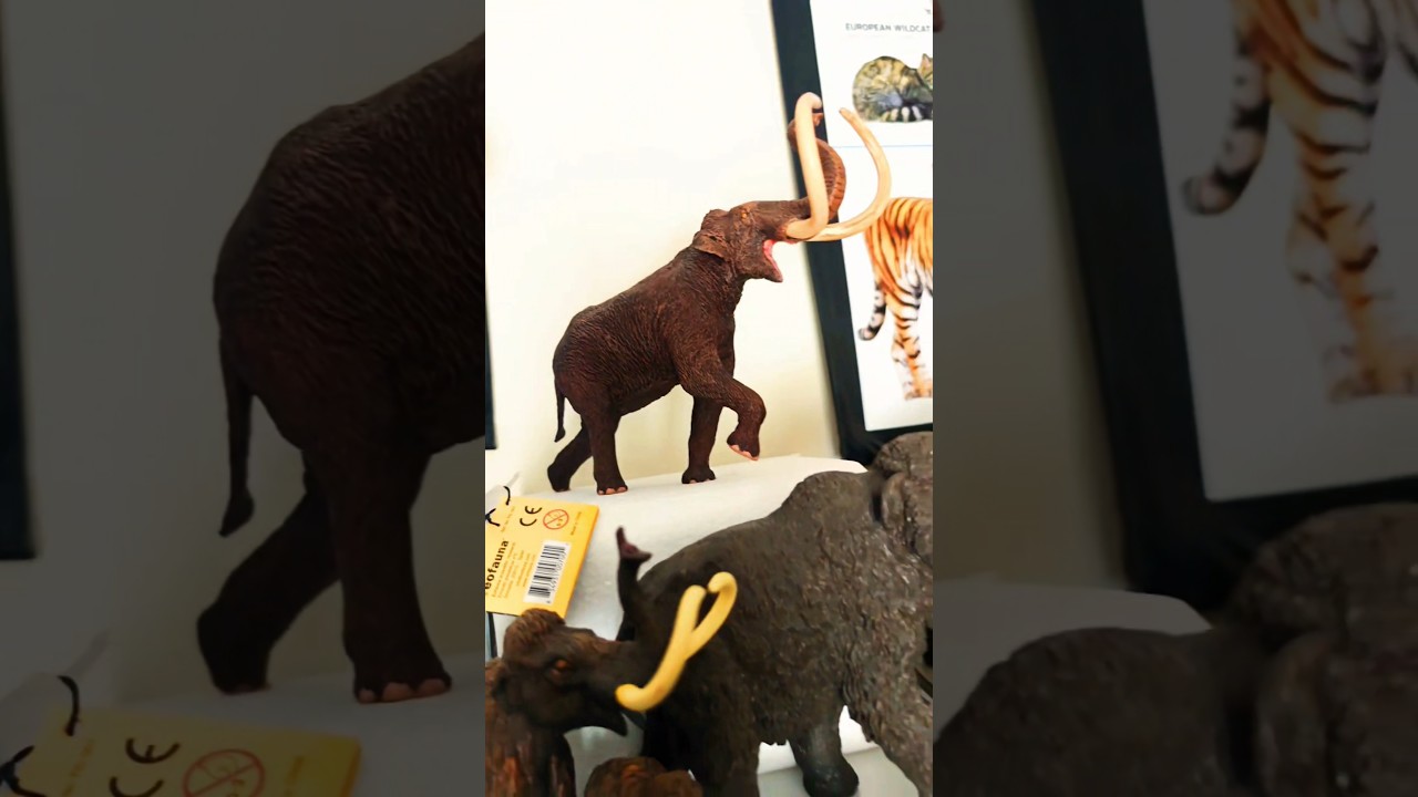 когда коллекционирования никогда не было достаточно 😅😍 