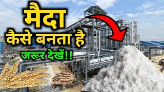 फैक्ट्री में मैदा कैसे बनता हैं? | How maida is made ? | by #Vital_Gyan