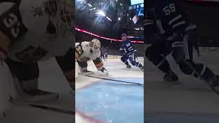 All down Hill from here 🛝 Net Worth