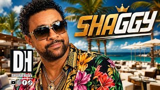 Shaggy Jamaican super star early upbringing  Profile