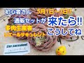 【多肉植物】抜き苗‼️通販セットが来たらどうする⁉️2020年5月1日