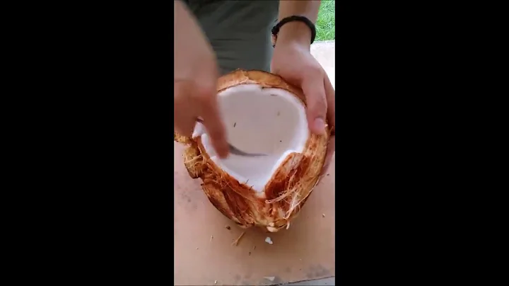 Melvin Miasco's Magnificent Coconut Tutorial