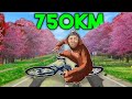Cycling Through Japans Biggest Island For $320,000