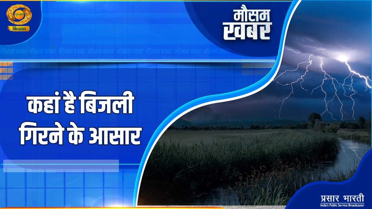 Mausam Khabar: कहां है बिजली गिरने के आसार | DD Kisan | 26/02/2026