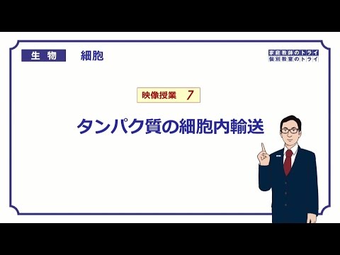 【高校生物】　細胞7　タンパク質の細胞内輸送（１３分）