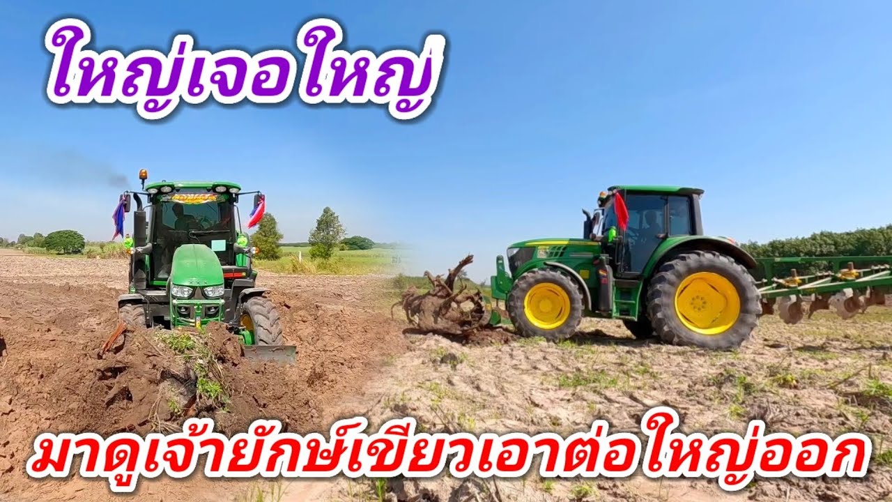 มาชมเจ้ายักษ์เขียวเอาตอไม้ใหญ่ออกกันบ้าง รถไถจอห์นเดีย M6125 เทอร์โบ 132 แรงม้า