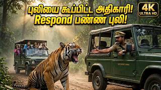 புலியை கூப்பிட்ட அதிகாரி! Respond பண்ண புலி! | Tiger spotting | KABINI PART 2 | 4K ULTRA HD