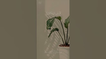 سورة العنكبوت l تلاوه الشيخ عبدالرحمن مسعد l حالات واتس♡