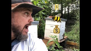 How much does it cost to start BEEKEEPING?