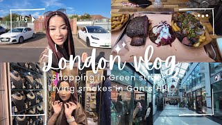 Shopping in Green Street, Chaunsa mangos, Smokes restaurant in Gants Hill 