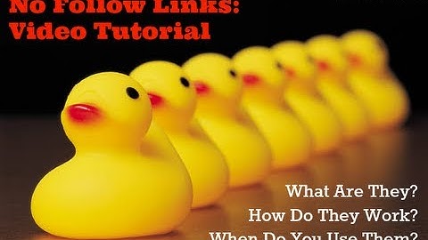 No Follow Link Tutorial
