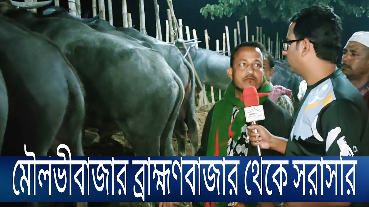 অঞ্চলের বিখ্যাত মৌলভীবাজার জেলার ব্রাহ্মণবাজার থেকে সরাসরি