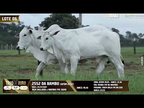 LOTE 06   AFOM 2552