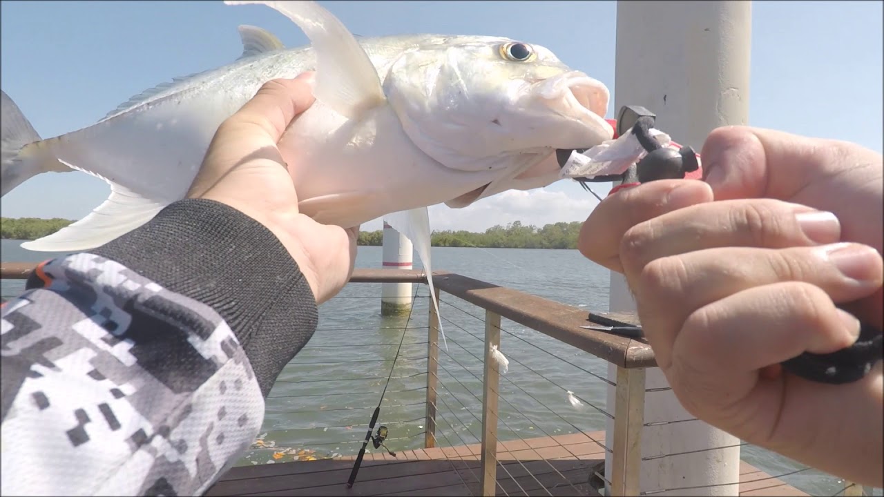 Gold Coast Land Based Fishing Ep1 Screaming Drag on Live Bait. YouTube