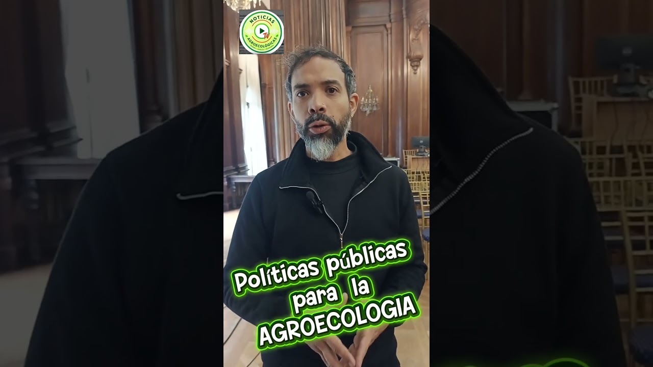 17 de julio de 2026