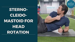Strengthen your sternocleidomastoid for head rotation | The MSK Physio