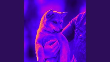 Pulsating Backdrops for Beloved Puppy