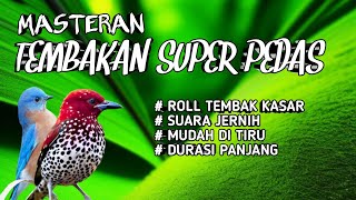 2 jam masteran tembakan kasar super pedas siap bikin merah telinga lawan