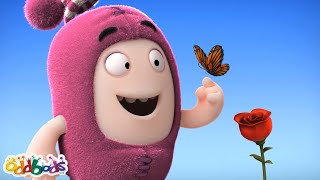 Butterfly 🦋 | ODDBODS 😂 | Old MacDonald&#39;s Farm | Funny Cartoons for Kids