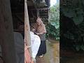 Pure Peace: Tropical Rain from a Forest Shelter ✨ #ASMR #SlowLiving #Nature #Peaceful #Relaxation