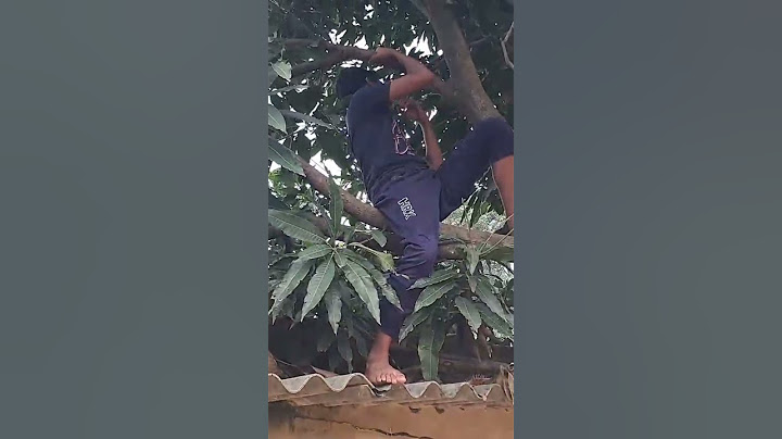 #like and #subscribe 🥭 tree @Mukund_05  subscriber kaisa badayi youtube par @Mayank YouTuber
