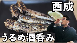 西成で渋呑み2026年【うるめイワシ×日本酒熱燗】#1人飲み #グルメ  #西成
