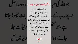 بغیر اولاد کے مرنے والا شخص | Prophet Muhammad ﷺ Quotes | Sad Islamic Reminder | Voice of Ali"