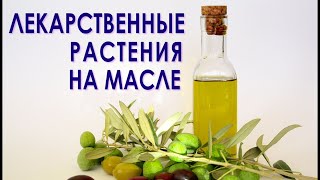 Как сделать масло из лекарственных растений! Рекомендации на трех примерах.