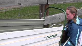 Loading a Calf into a "Caf Cart"
