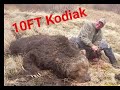 Giant Kodiak Brown Bear- 2017