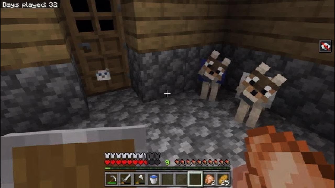 Minecraft Blind Survival Episode: 19 - YouTube