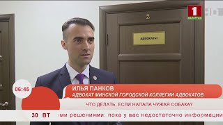 Напала собака (БТ, Добрай ранiцы, 30.07.2019) - Илья Панков, адвокат (Минск) Напала собака (БТ, Добрай ранiцы, 30.07.2019) - Илья Панков, адвокат (Минск)