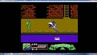 Teenage Mutant Ninja Turtles III прохождения босса Мать-Мышелов (мини-босс) - Синий Мышелов