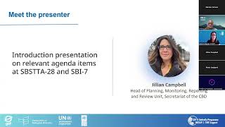 Webinar: Pre-Workshop session on lessons learned and national monitoring